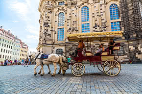 Pferdehalterhaftpflicht - Pferde mit Kutsche in Dresden